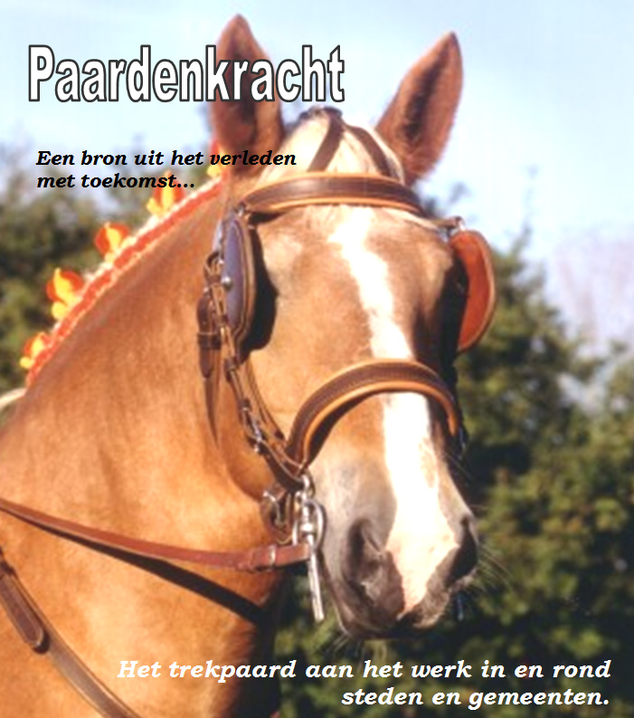Paardenkracht