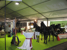Land en tuinbouw salon te Roeselare, 24 tot 26 januari 2009