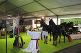 Land en Tuinbouw salon - Roeselare 2011