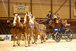 Agriflanders 2015