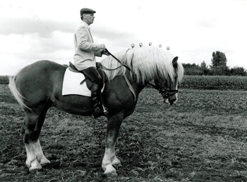 Foto van Roger Talpe