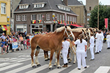 Testage des juments 2011